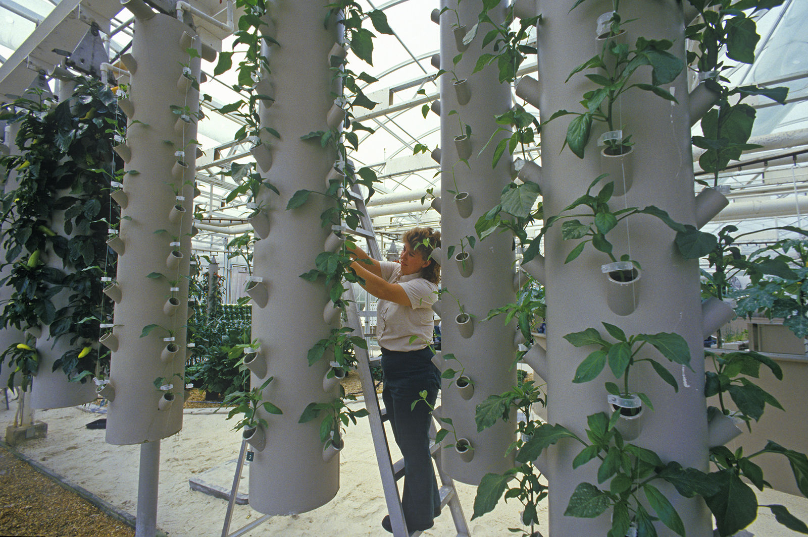Future farming